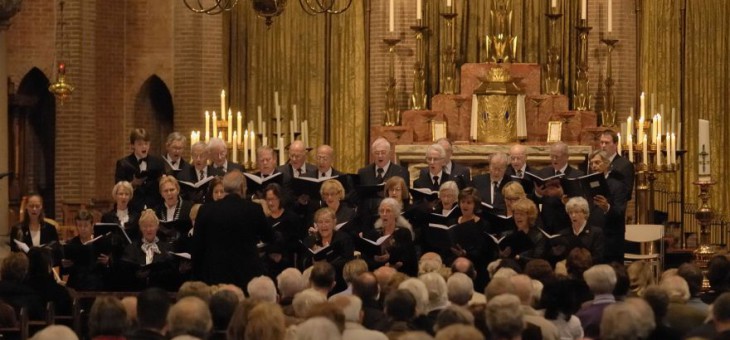 “Rond Allerheiligen en Allerzielen” Herfstconcert door de Sint Jans Schola op zondag 1 november 2015 om 15.00 uur in de Sint Jansbasiliek